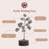 Pyrite Handcrafted Gemstone Wish Tree